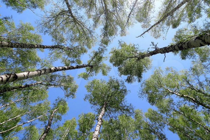 2-к. квартира, 65,2 м², 18/23 эт.