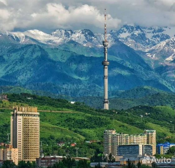 Свой человек в Казахстане