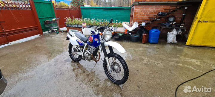 Suzuki djebel 250xc