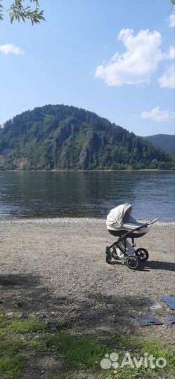 Коляска 2 в 1 эко кожа