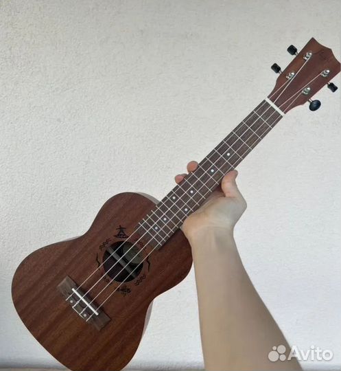 Укулеле flight концерт