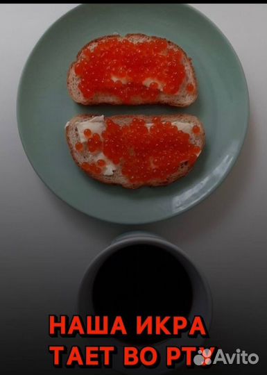 Красная икра оптом