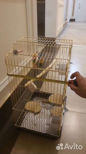 Клетка для птиц