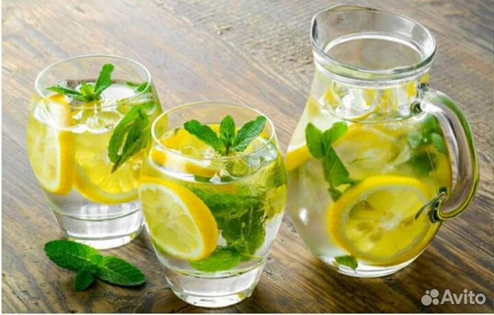 Мята (шпороцвет, плектрантус)