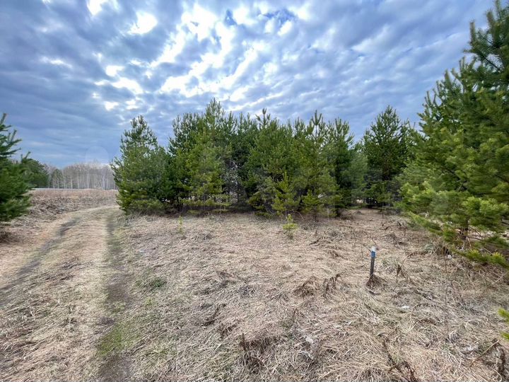 Участок 12,5 сот. (ИЖС)