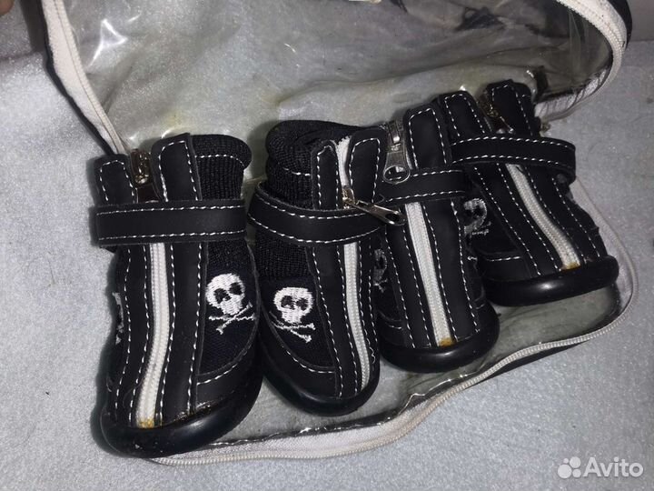 Ботинки для собаки