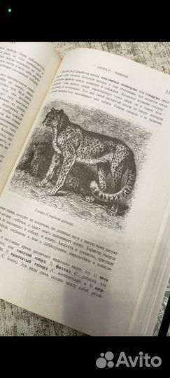 Книги. А.Брэм 