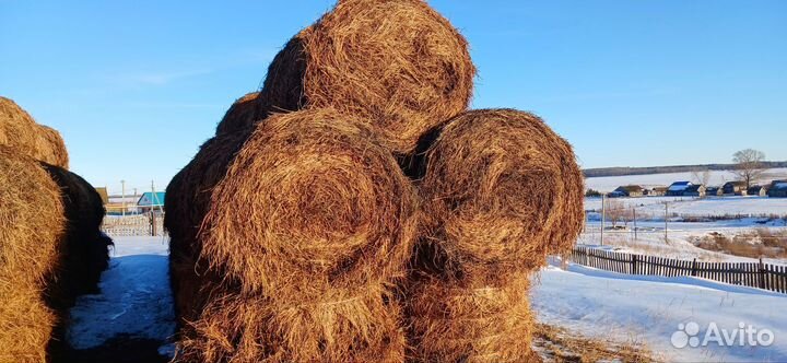 Сено люцерны в рулонах