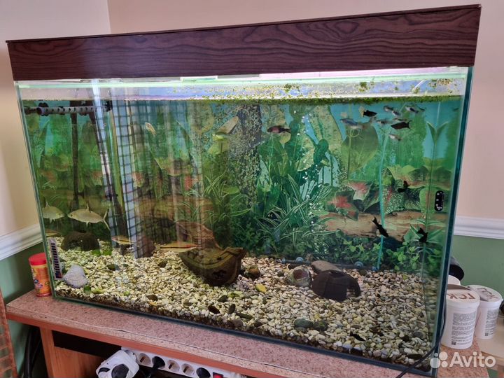 Аквариум на 300 литров