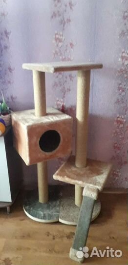 Когтеточка