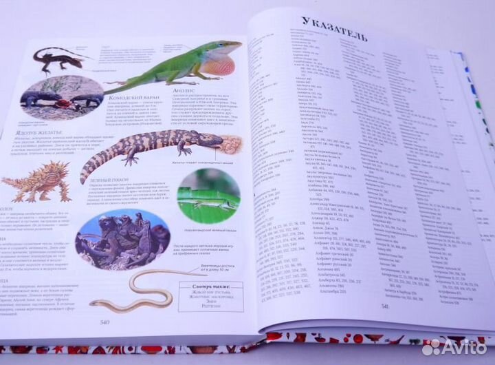 Большая детская энциклопедия (росмэн, владис)