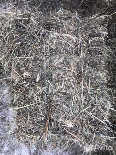 Сено в брикетах