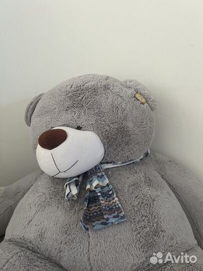 Огромный плюшевый медведь