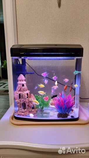 Аквариум