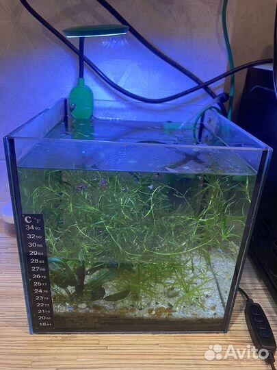 Акавариум