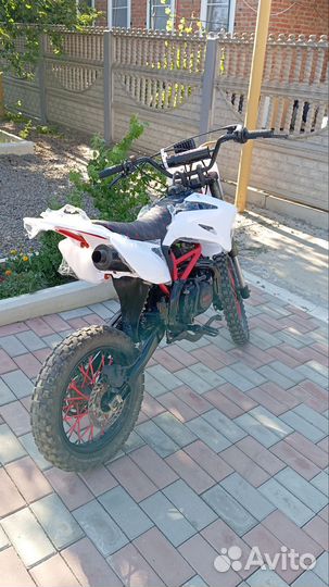 Питбайк irbis ttr 125