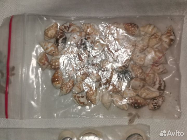 Два пакетика с натуральными ракушеками