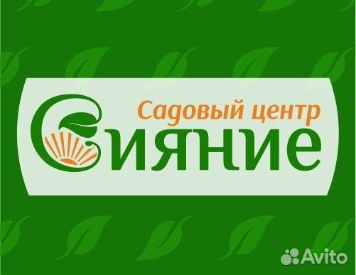 Продавец консультант