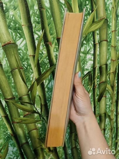 Стругацкие. Обитаемый остров. Стажёры