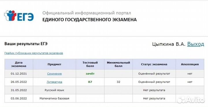 Репетитор по русскому языку и литературе