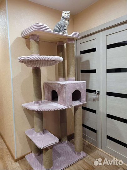 Домик для кошки