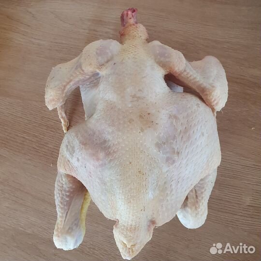 Домашнее мясо кур