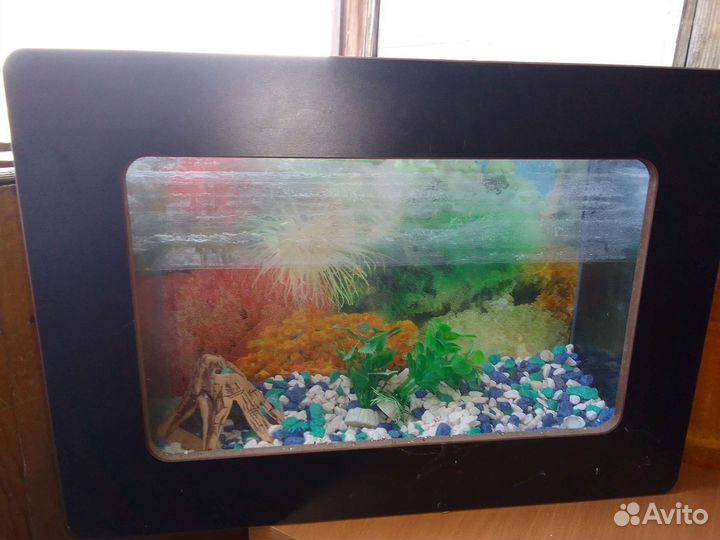 Аквариум