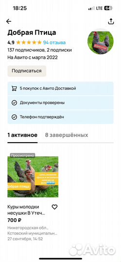 Куры несушки де калб 20 мес