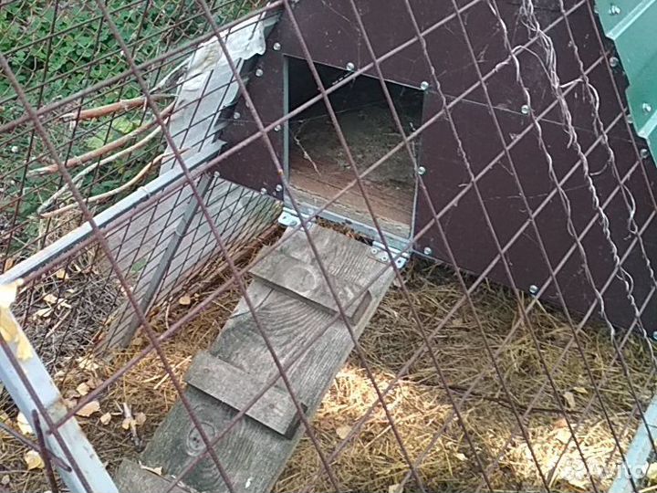 Клетки для животных