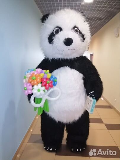 Экспресс поздравление аниматор