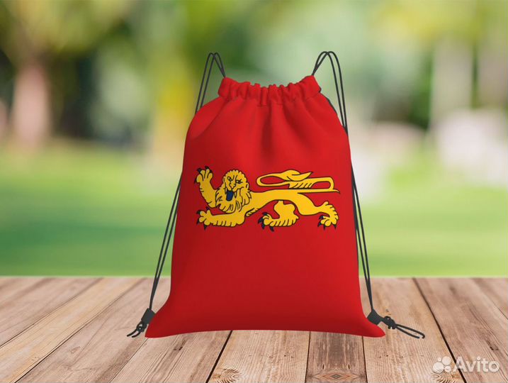 Мешки для обуви +печать логотипа, опт