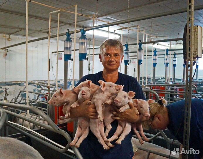 Оператор по уходу за животными