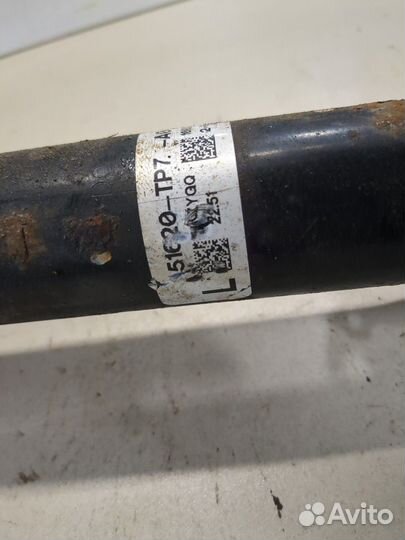 Амортизатор подвески Honda Crosstour, 2010