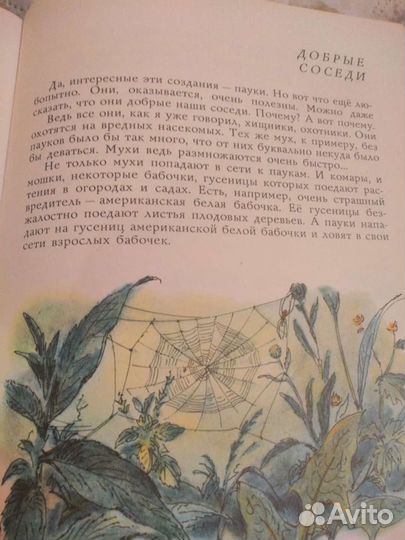 Кто они такие