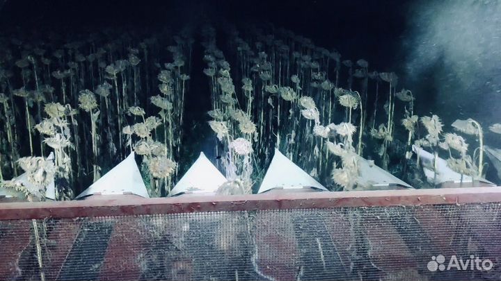 Уборка сельскохозяйственного урожая