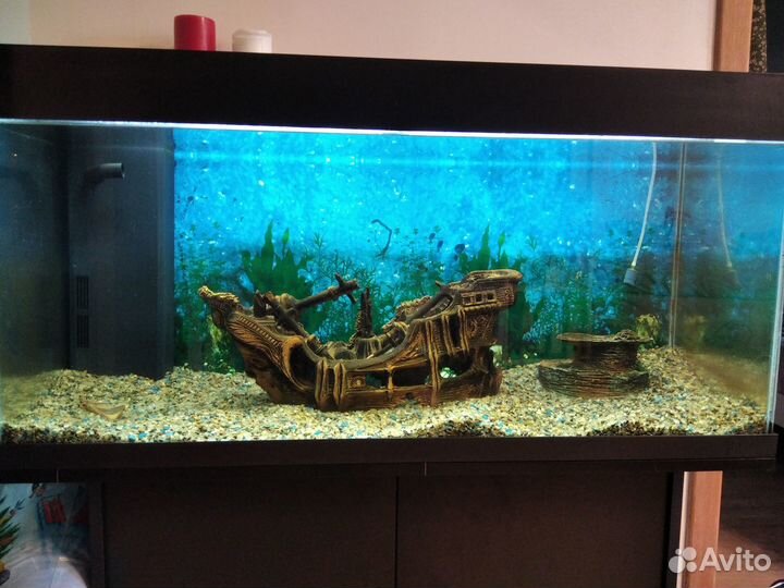 Аквариум Juwel Rio 180 с тумбой