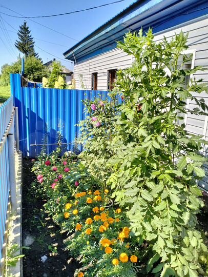 Дом 50 м² на участке 3 сот.