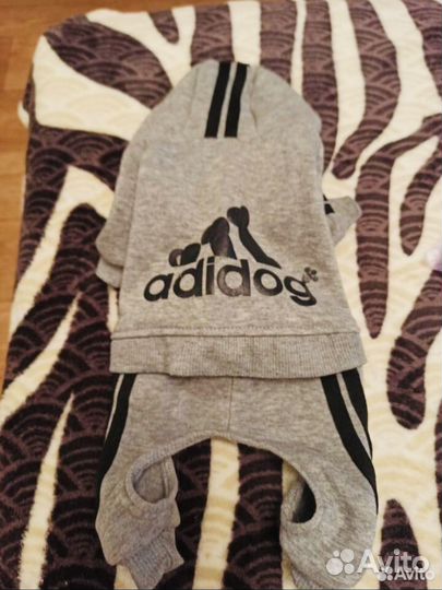 Костюм для собаки