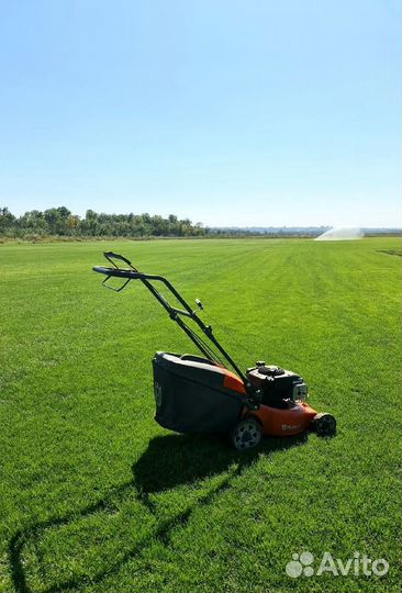 Рулонный газон - под ключ