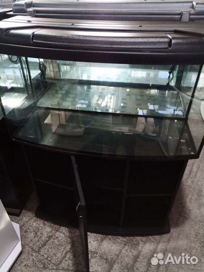 Новый 200 с выгнутым стеклом и с тумбой