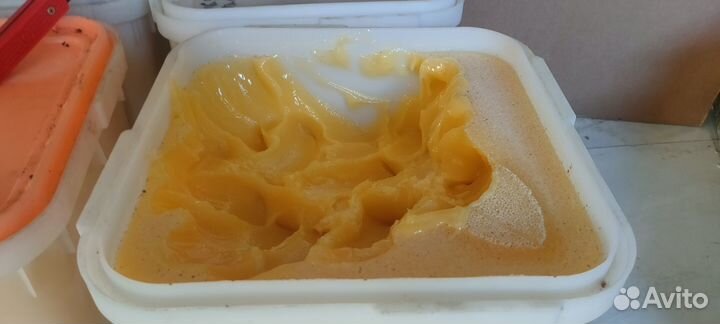 Мёд летний
