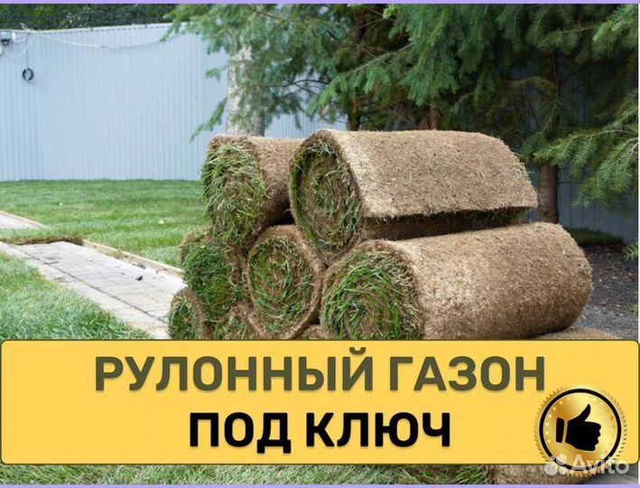 Рулонный газон с укладкой спортивный