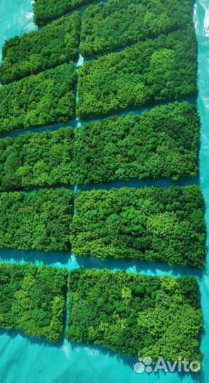 Создайте уникальные композиции на стенах с помощью