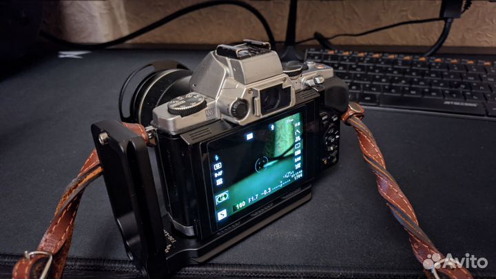 Olympus E-M5 + 25мм