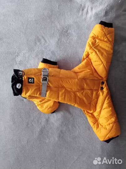 Одежда для маленьких собак