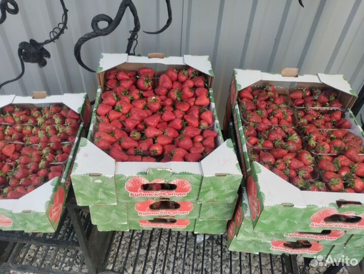 Клубника свежая оптом с доставкой