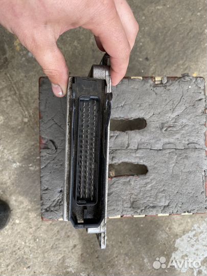 Эбу январь 5.1 -41