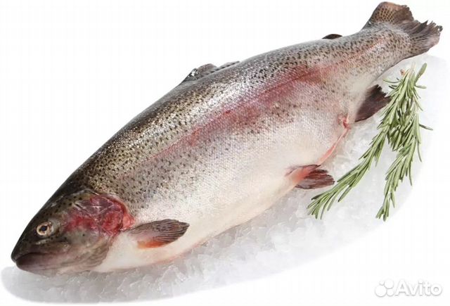 Форель свежемороженая 500-800гр