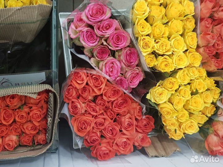 Розы цветы с доставкой 24 часа Саранск