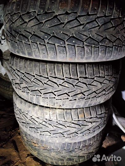 Nokian Tyres Nordman 7 205/55 R16 94T